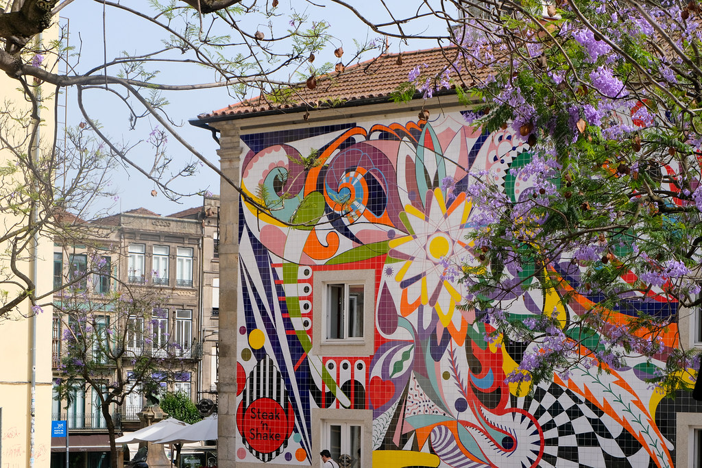 52163805383_feed0f2175_o